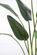 Set 2 Piante Artificiali Strelitzia 120x100x235 cm in Plastica con Vasi Verde-3