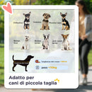 Passeggino per Cani Piccoli Pieghevole con Guinzaglio Integrato Verde  -4