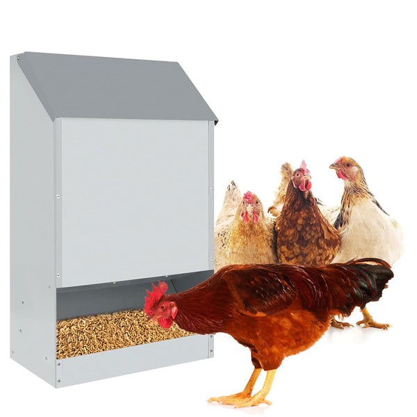 Mangiatoia per Galline 35x20x63 cm Capienza 23kg in Acciaio Zincato sconto