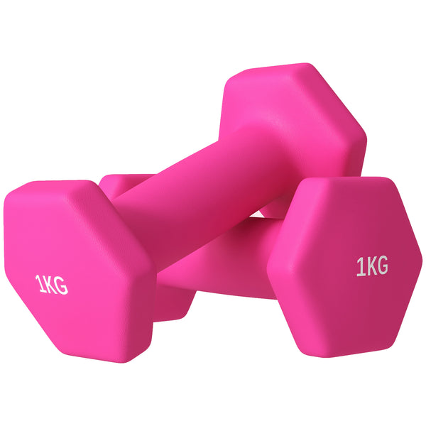 Set 2 Manubri Palestra 1 kg Pesi esagonali per Allenamento Rosa acquista