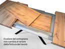 Tavolo Allungabile 120-224x90x77 cm Famas Noce Telaio Antracite  -4