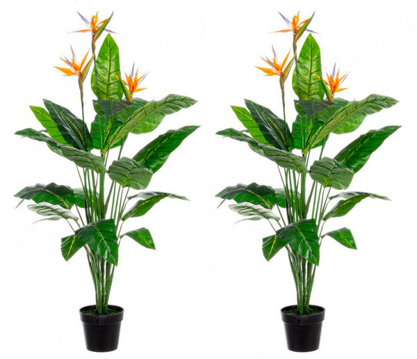 acquista Set 2 Piante Artificiali Strelitzia 70x70x150 cm in Plastica con Vasi Verde