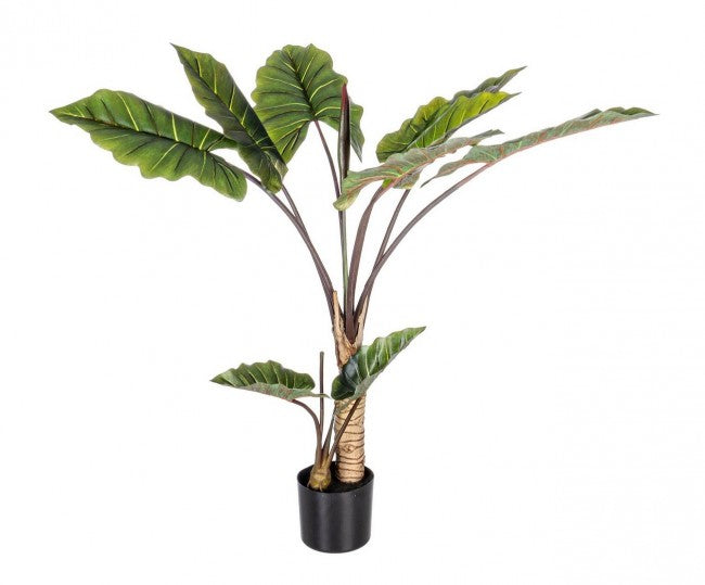 Set 2 Piante Artificiali Dieffenbachia Ø100x134 cm in Plastica con Vasi Verde-2