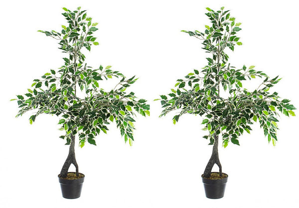 Set 2 Piante Artificiali di Ficus 120 h in Plastica con Vasi Verde online