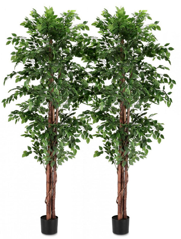 Lot de 2 plantes artificielles avec vase Ø 90x210 cm Ficus en plastique online