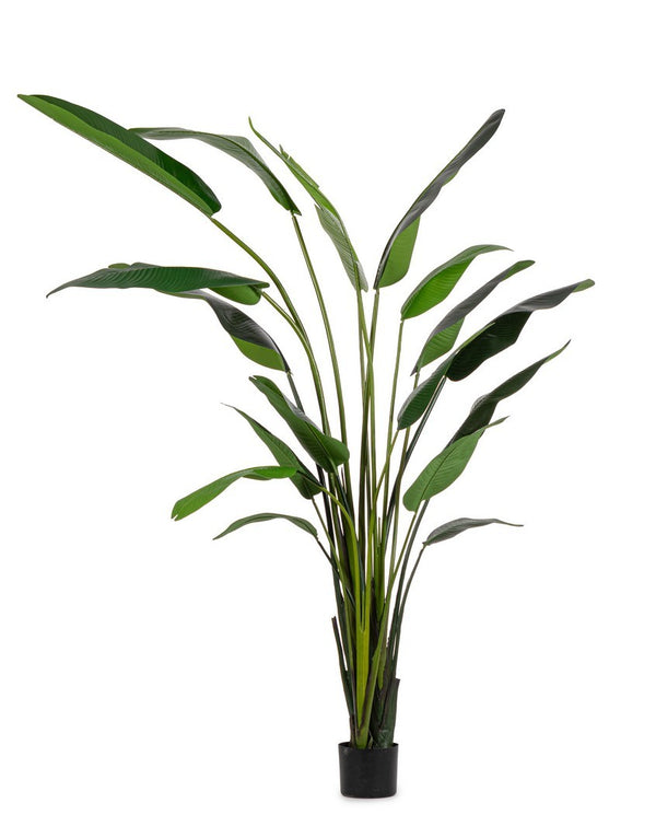 acquista Pianta Artificiale Strelitzia 180x140x310 cm in Plastica con Vaso Verde