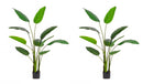 Set 2 Piante Artificiali Strelitzia 90x80x150 cm in Plastica con Vasi Verde-1