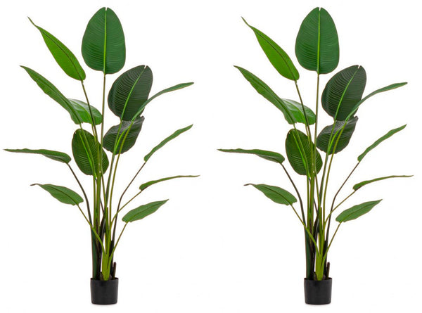 Set 2 Piante Artificiali Strelitzia 170x32x185 cm in Plastica con Vasi Verde acquista