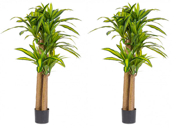 prezzo Set 2 Piante Artificiali Dracaena Ø110x150 cm in Plastica con Vasi Verde