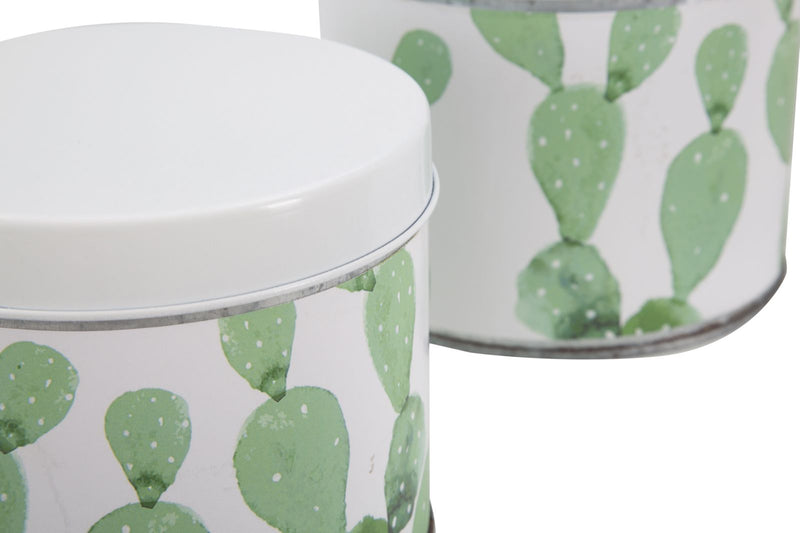 Cofanetti in Latta Cactus Set 3 Pz Ø15x13,5-14x11,5-12,5x10 cm in Ferro Bianco, Verde-5