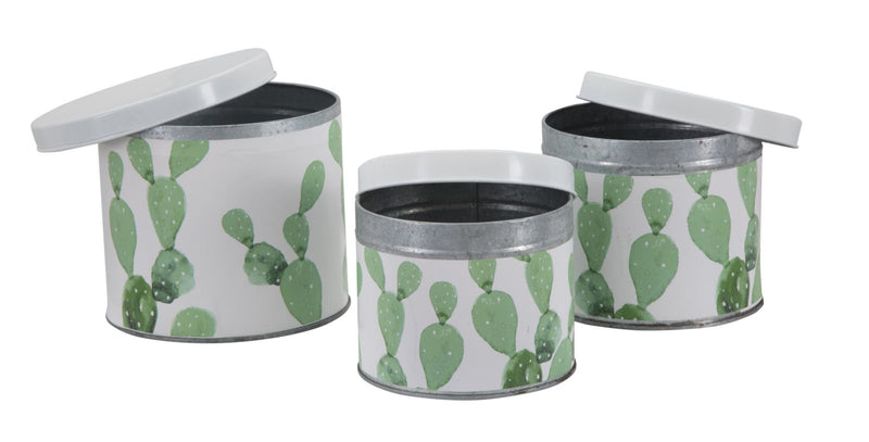 Cofanetti in Latta Cactus Set 3 Pz Ø15x13,5-14x11,5-12,5x10 cm in Ferro Bianco, Verde-7