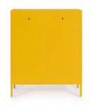 Mobile Basso 2 Ante 40x80x101,5 cm Cambridge in Acciaio Giallo-3