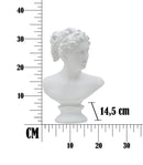 Scultura Roman Woman 21,5x14,5x34 cm in Poliresina Bianco-9