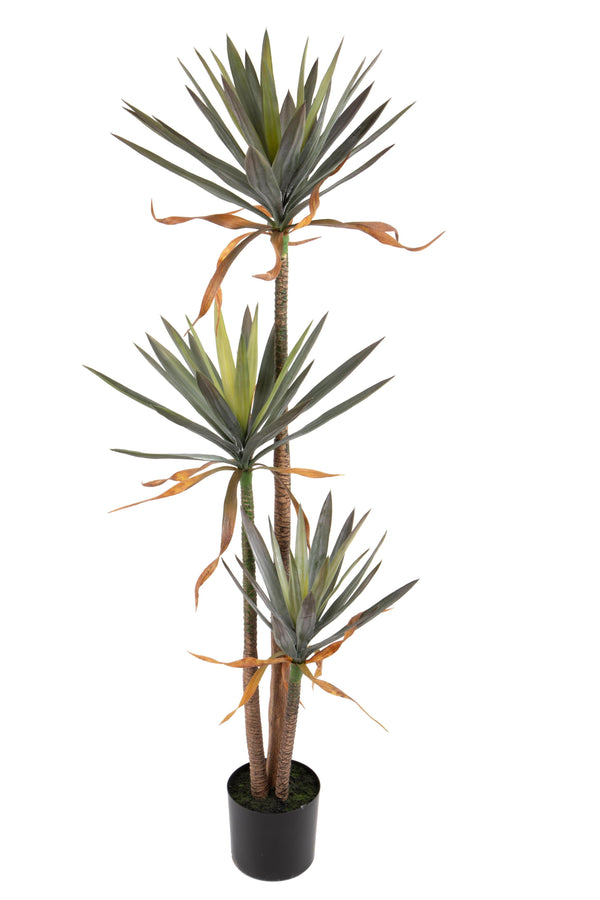 Yucca Artificiel en Pot à 3 Branches Hauteur 170 cm Vert sconto