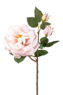 Set 4 Rose Artificiali Inglese H 48 cm-1