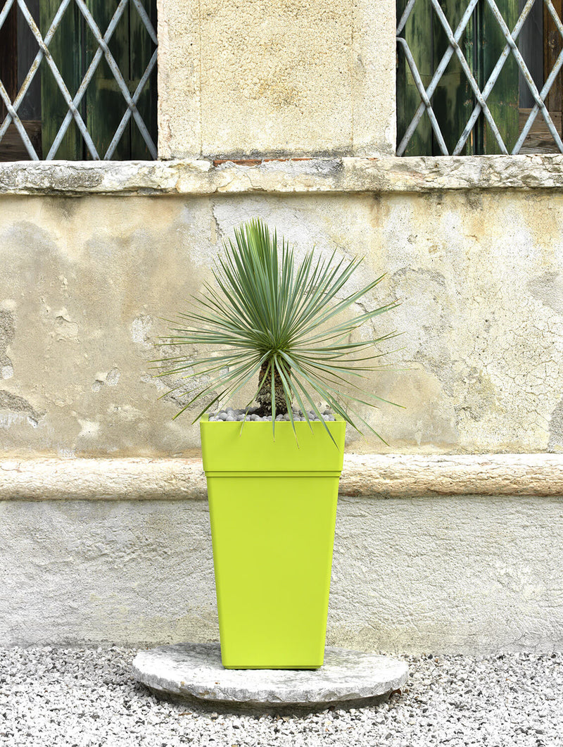 Vaso 38x38x65 cm in Polipropilene con Riserva d'Acqua Tulli Stalk Elements 65 Wr Verde Cedro-5