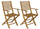 Set 2 Sedie da Giardino Pieghevoli 56x53x92 cm con Braccioli in Legno Naturale