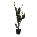 Pianta cactus con vaso nero cm 60x45xh119-1