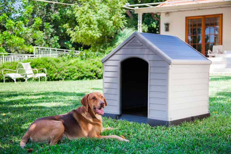 Cuccia da Esterno per Cani 99x95x99 cm in Plastica Keter Dog House Sabbia/Marrone-3