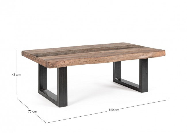 Tavolino Basso 120x70x42 cm in Acciaio e Legno-2