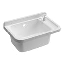 Lavatoio 50x35x24 cm Pilozzo a Parete con Dispenser in Resina Bianco    -1