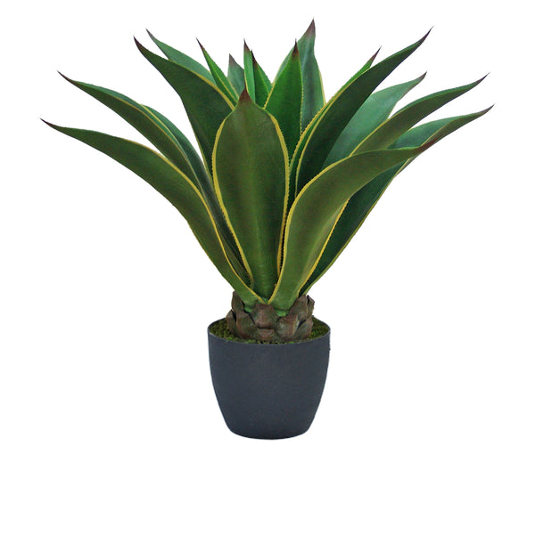 prezzo Agave attenuata Plante Artificielle avec Pot Hauteur 98 cm Vert