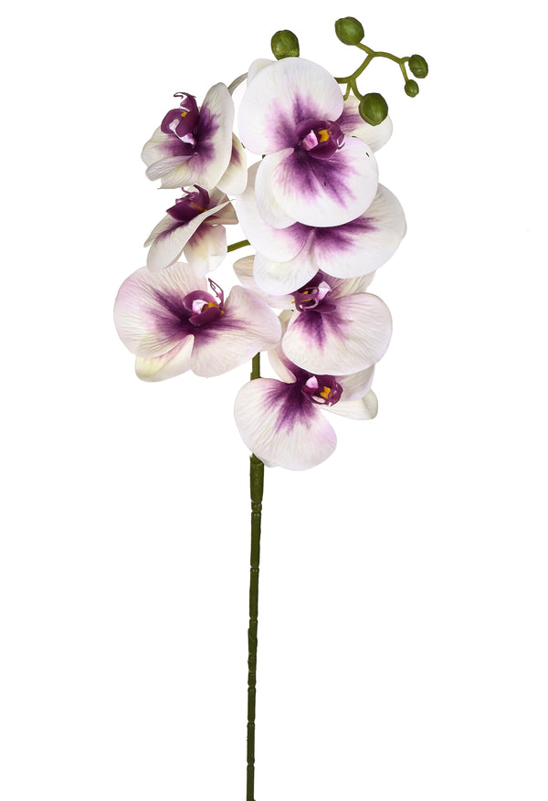 Set 6 Phalaenopsis Artificiels avec 7 Fleurs Hauteur 96 cm sconto