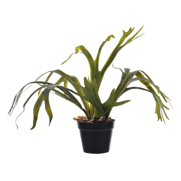 Platicerium artificiel en Pot avec 8 Feuilles Hauteur 62cm Vert prezzo