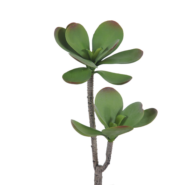 sconto Set 3 Plantes Succulentes Artificielles avec 2 Branches Hauteur 35 cm Vert