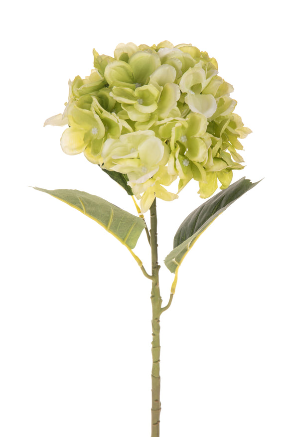 sconto Lot de 4 hortensias artificiels simples hauteur 57 cm vert