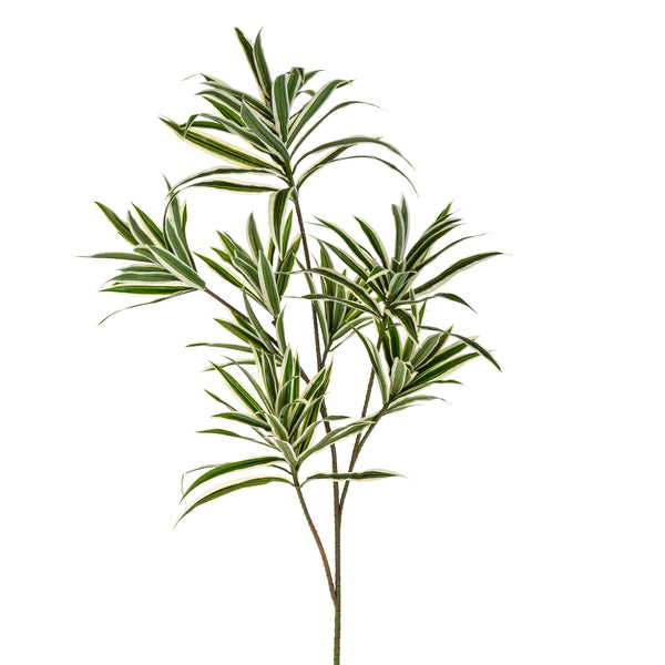 prezzo Lot de 3 Dracena avec 141 feuilles artificielles hauteur 84 cm vert