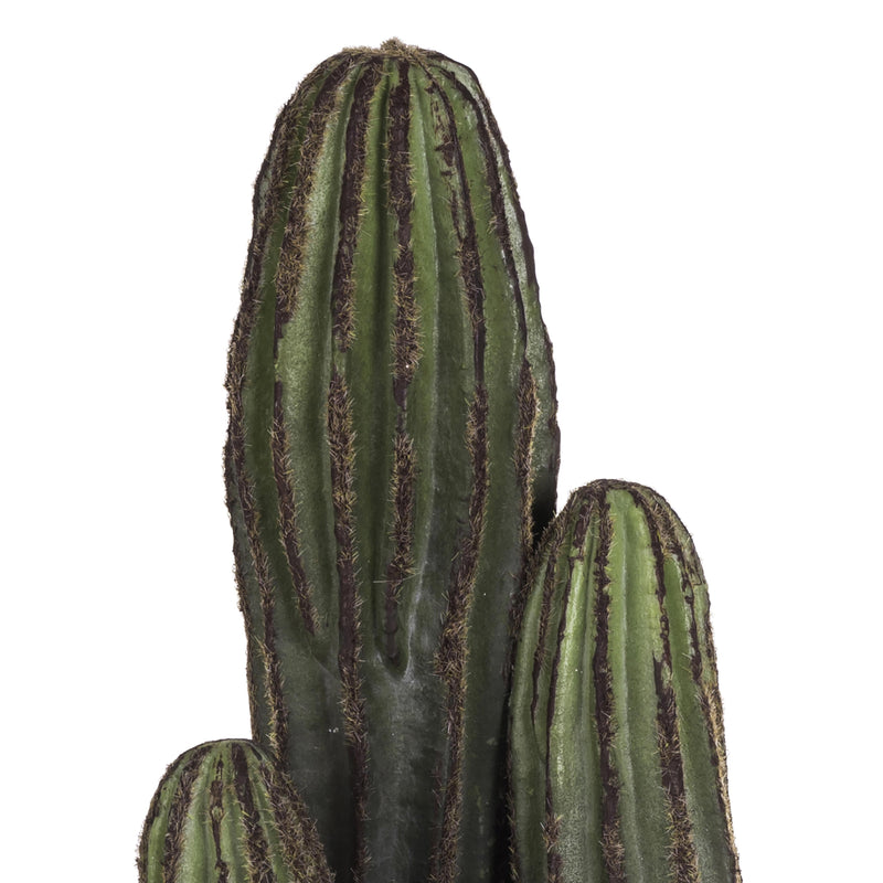 Pianta di Cactus Artificiale con Vaso Altezza 24 cm Verde-3