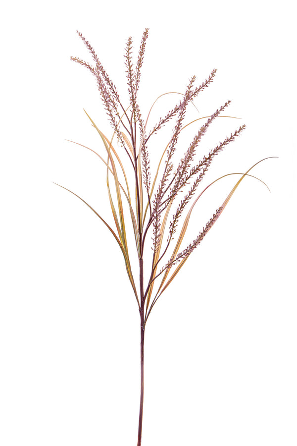 prezzo Set 2 Pennisetum artificiel avec 14 branches Hauteur 130 cm Marron