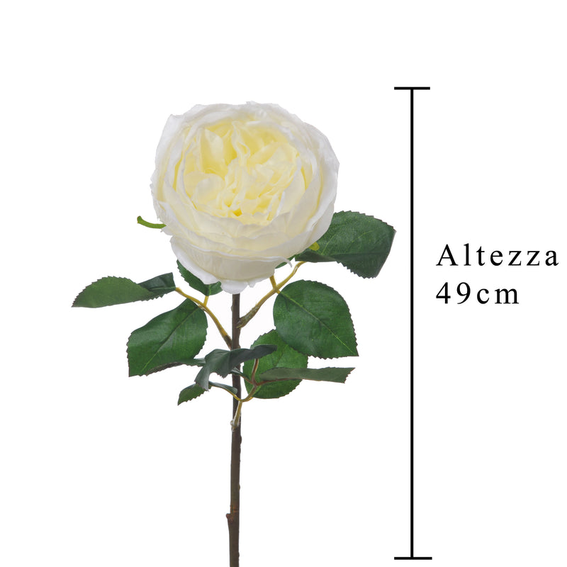 2 Rose Artificiali Cabbage Altezza 49 cm Bianco-2