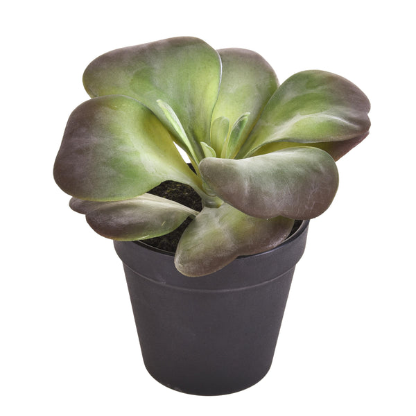 Set 3 Plantes Succulentes Kalanchoe Artificielles avec Pot Hauteur 16,5 cm Vert acquista