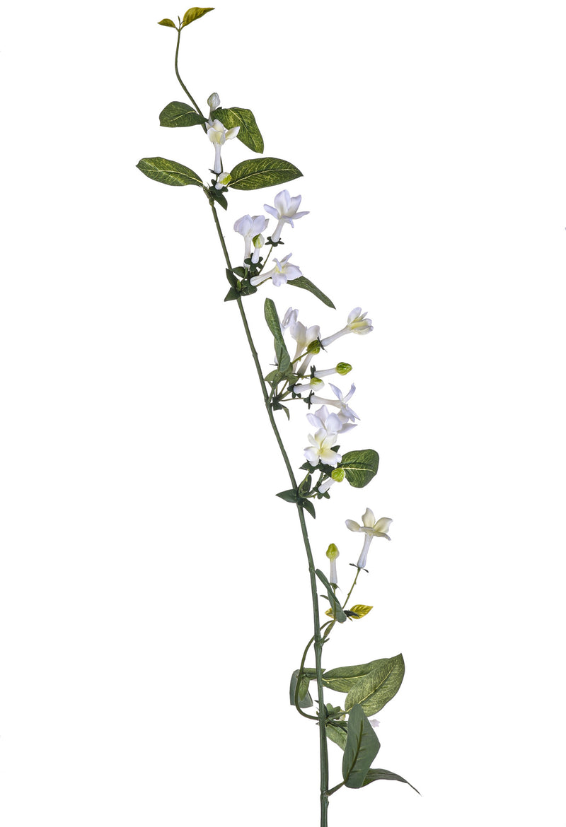 3 Bouvardia Artificiali Pendente Altezza 117 cm Bianco-1