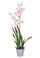 Orchidée artificielle Oncidium avec pot Hauteur 40 cm Rose