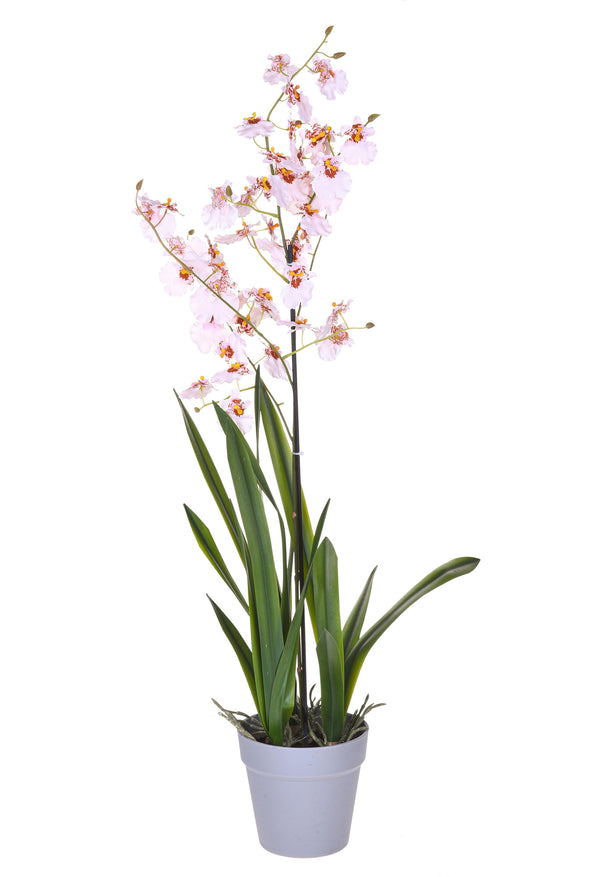 Orchidée artificielle Oncidium avec pot Hauteur 40 cm Rose online