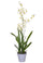 Orchidée artificielle Oncidium avec pot Hauteur 40 cm Blanc