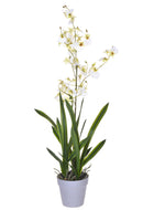 Orchidea Artificiali Oncidium con Vaso Altezza 40 cm Bianco-1