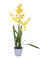 Orchidée artificielle Oncidium avec pot Hauteur 40 cm Jaune