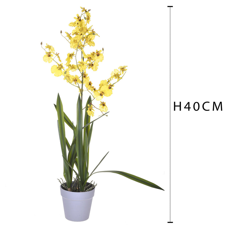 Orchidea Artificiali Oncidium con Vaso Altezza 40 cm Giallo-2