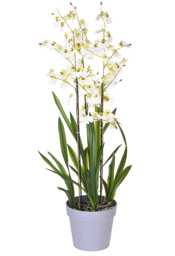 sconto Orchidée artificielle Oncidium à 3 branches avec vase Hauteur 45 cm Blanc