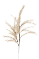 Pampas Artificiale con 24 Diramazioni Altezza 115 cm Marrone-1