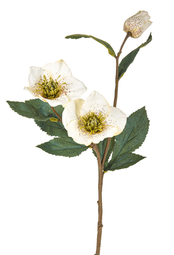 sconto Lot de 12 Plantes Artificielles Hellebore Rose Hauteur 56 cm Blanc