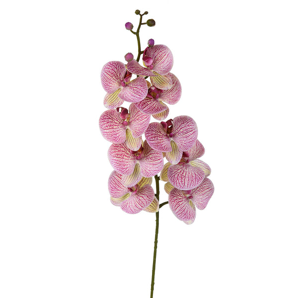 acquista Set 2 Phalenopsis artificiels avec 9 fleurs Hauteur 110 cm Violet