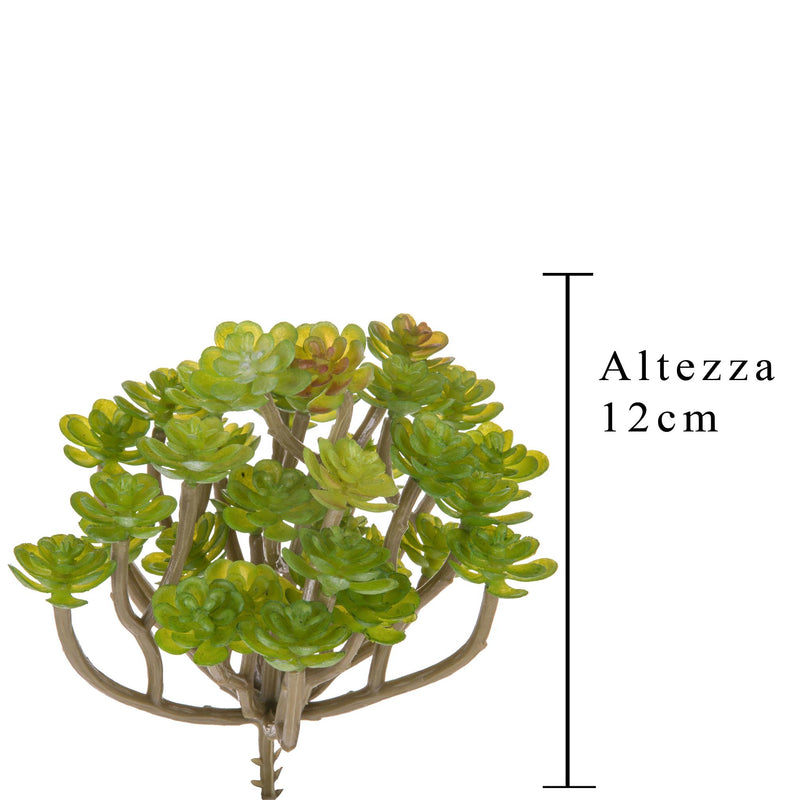 6 Aoenium Succulent Artificiale Altezza 12 cm Verde-2