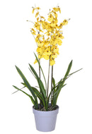 Orchidea Artificiali Oncidium a 3 Diramazioni con Vaso Altezza 45 cm Giallo-1