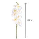 6 Phalaenopsis Artificiali con 8 Fiori Altezza 65 cm Bianco-2