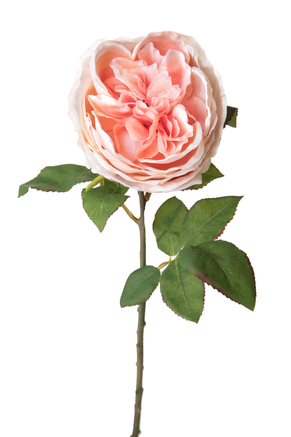 Set 6 Roses Artificielles Chou Hauteur 49 cm Rose online